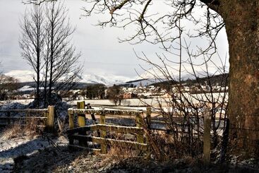 تختخواب و صبحانه The Highlandman Station