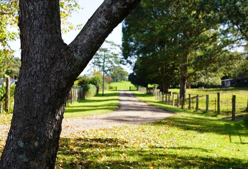 Mccarthy Grove