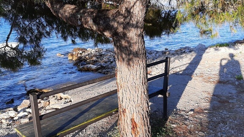 Apartments Andrijana