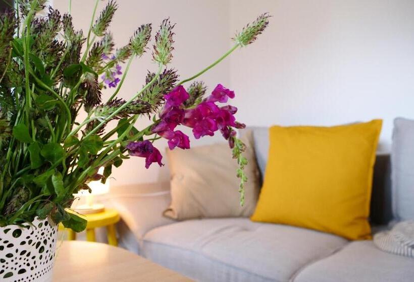 پانسیون Apartment And Rooms Vilma