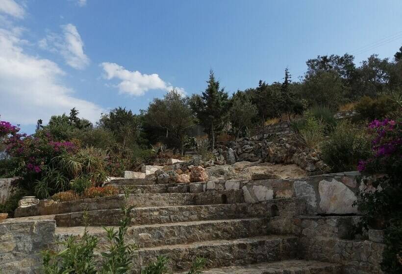 Villa Artemis Near Athens Airport