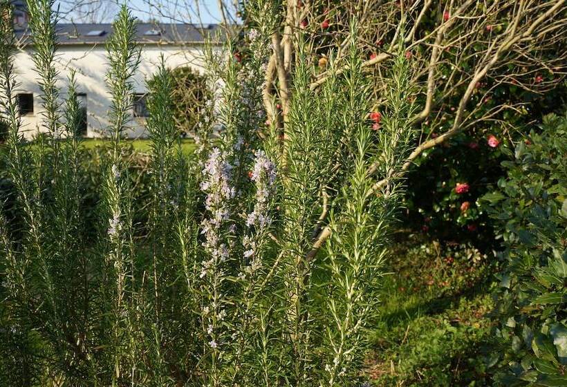 Apartamentos La Collada