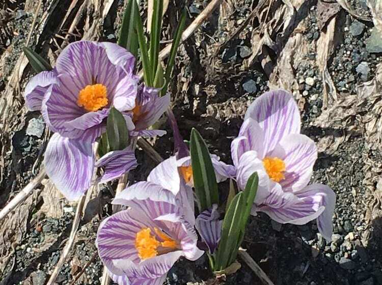 فندق Wood River Lodge   Side By Side,jet Boat Transport Included, Flight Optional   Not Included