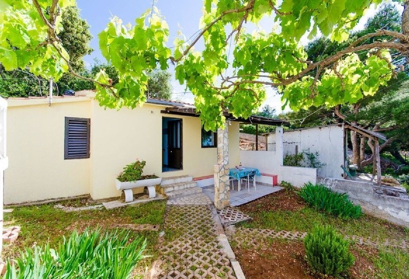 House Barbarina