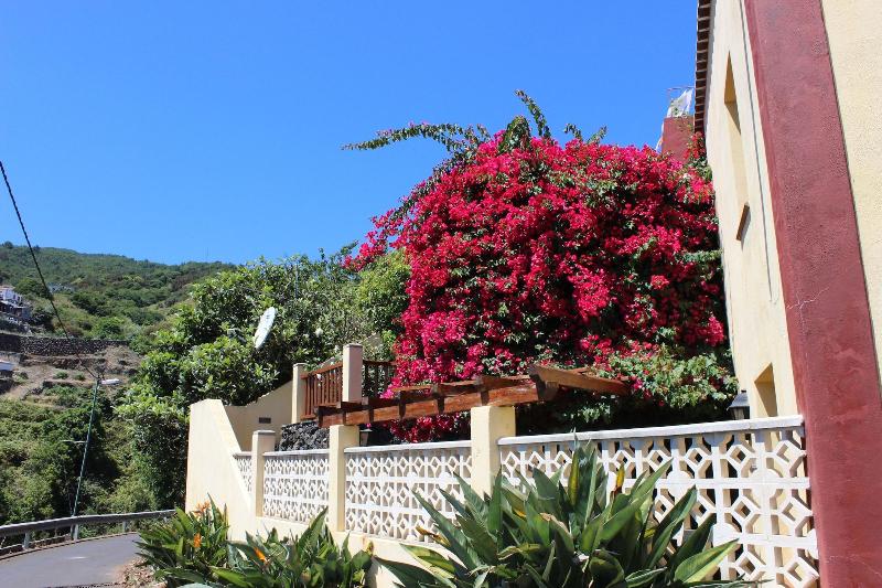 Los Nacientes Cordero By Isla Bonita