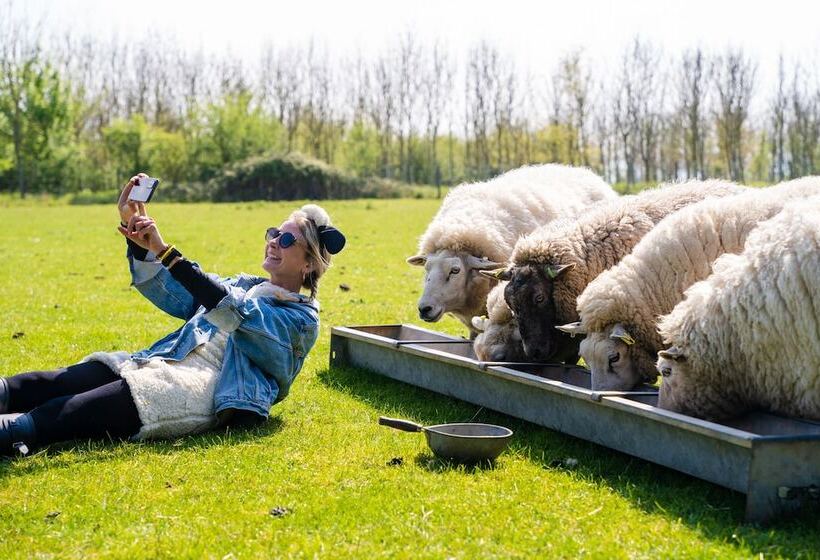 Overe   The Farm Camp