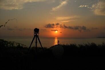 Palmina Mare Villa And Studios