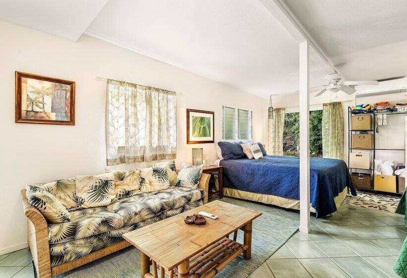Koana Breeze