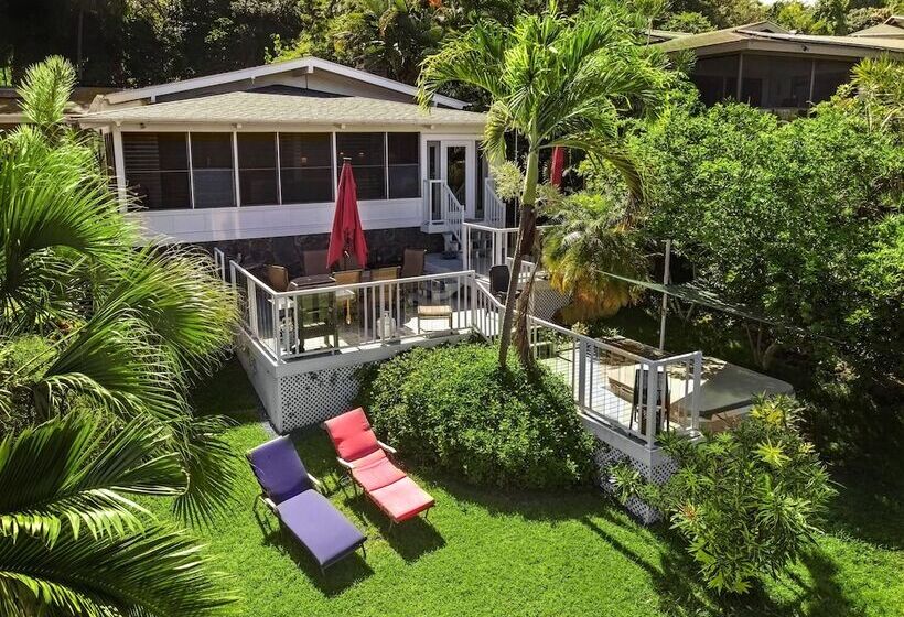 Koana Breeze