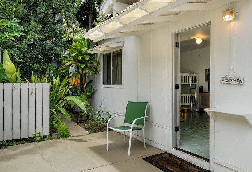 Koana Breeze
