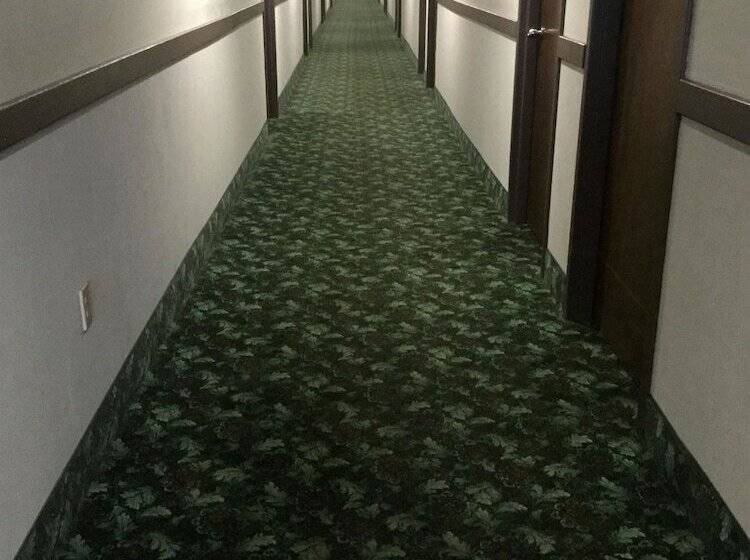 酒店 Americas Best Value Inn West Frankfort