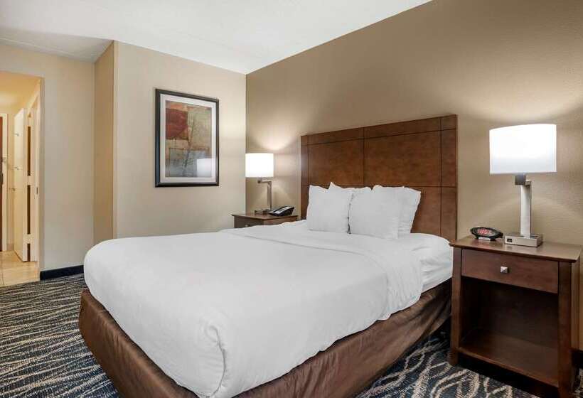 هتل Comfort Inn & Suites Newark  Wilmington