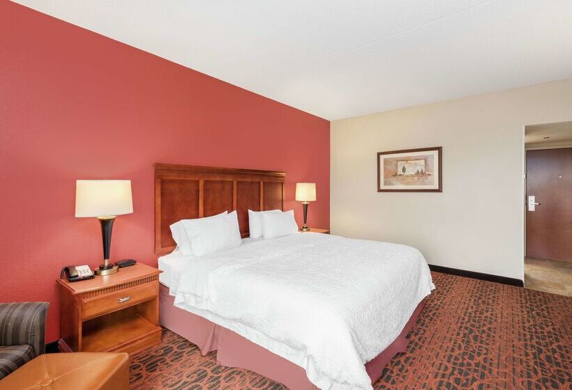 فندق Hampton Inn By Hilton Branson On The Strip