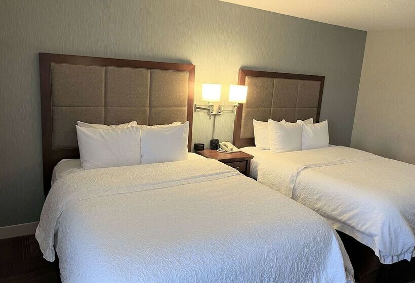 فندق Hampton Inn St. Louisairport