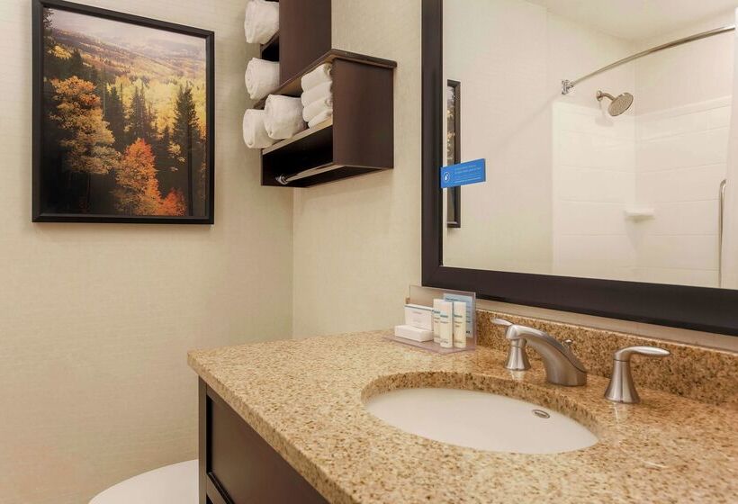 هتل Hampton Inn & Suites Denver Tech Center