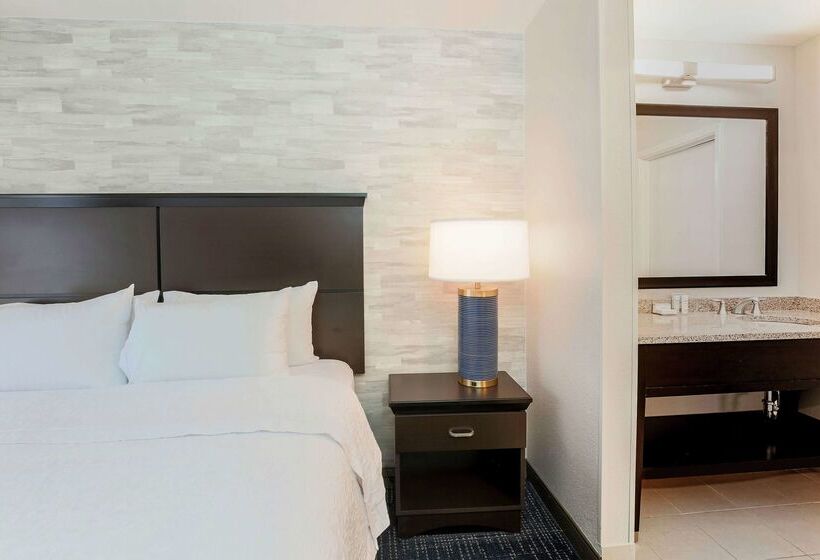 هتل Hampton Inn & Suites Denver Tech Center