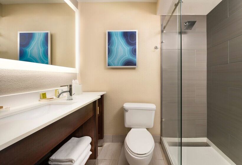 هتل Hilton Clearwater Beach Resort & Spa