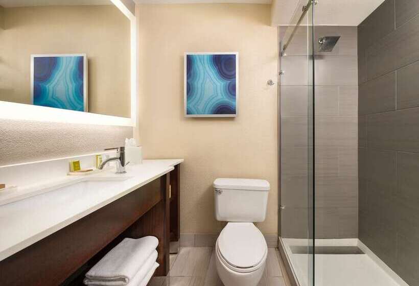 هتل Hilton Clearwater Beach Resort & Spa
