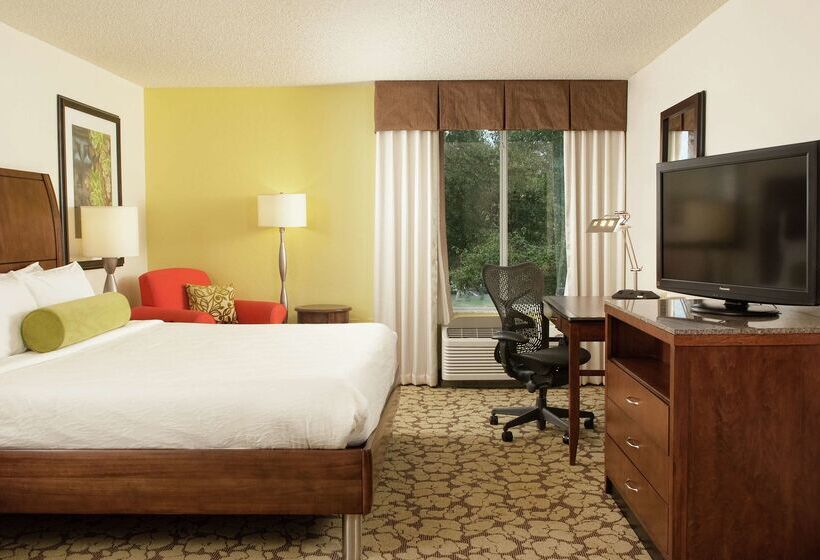 Fotos del hotel Hilton Garden Inn Orlando Airport:  2