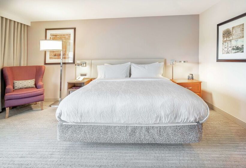 فندق Hilton Garden Inn Seattle/renton