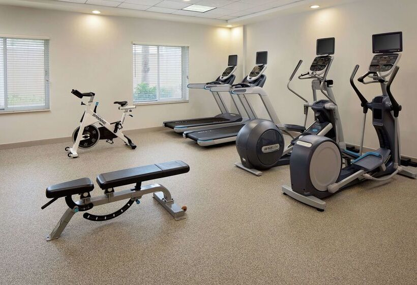 בית מלון כפרי Hilton Garden Inn Tampa Ybor Historic District