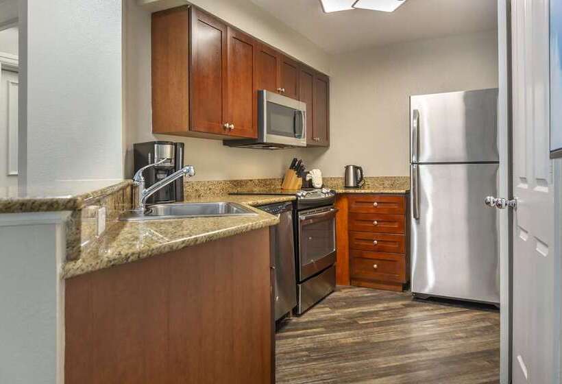 酒店 Hilton Grand Vacations Club Seaworld® Orlando