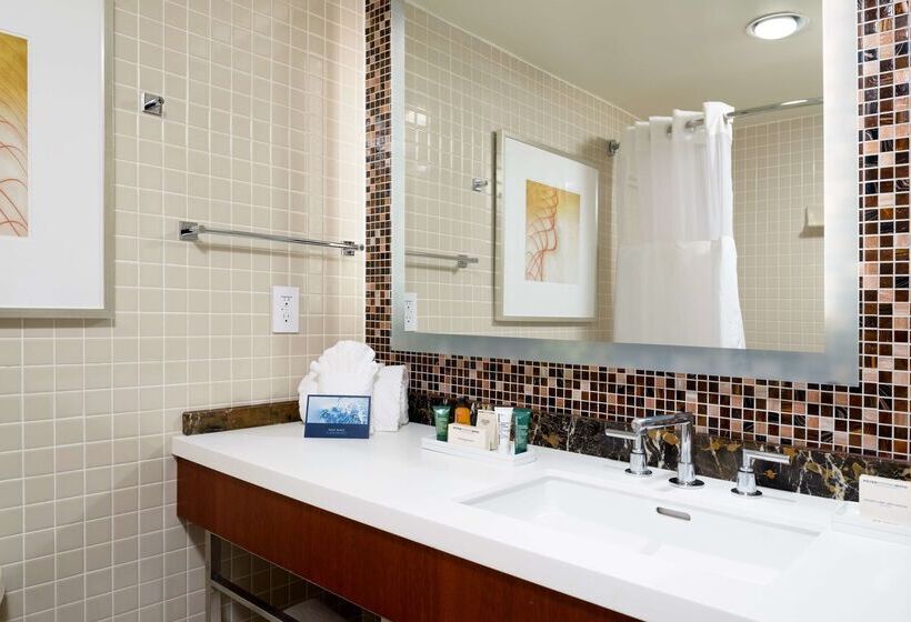 هتل Hilton Washington Dulles Airport