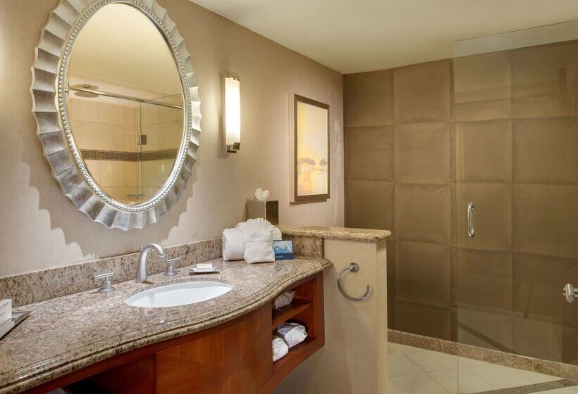 هتل Hilton Washington Dulles Airport
