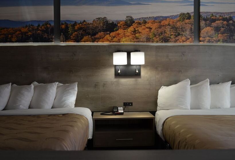 酒店 Quality Inn & Suites Ankenydes Moines