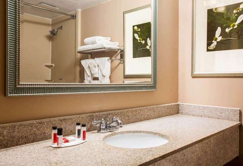 בית מלון כפרי Ramada By Wyndham Statesville