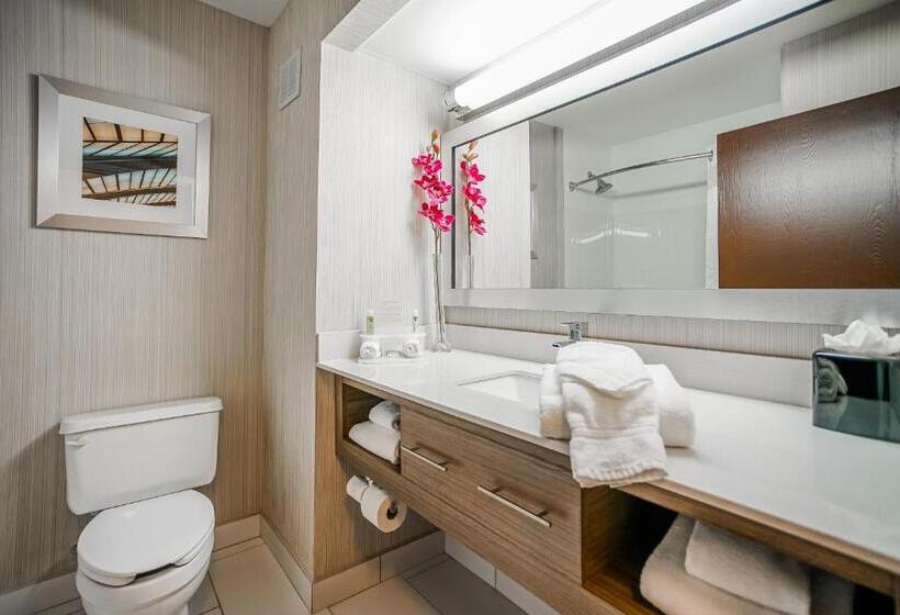 هتل Sleep Inn & Suites