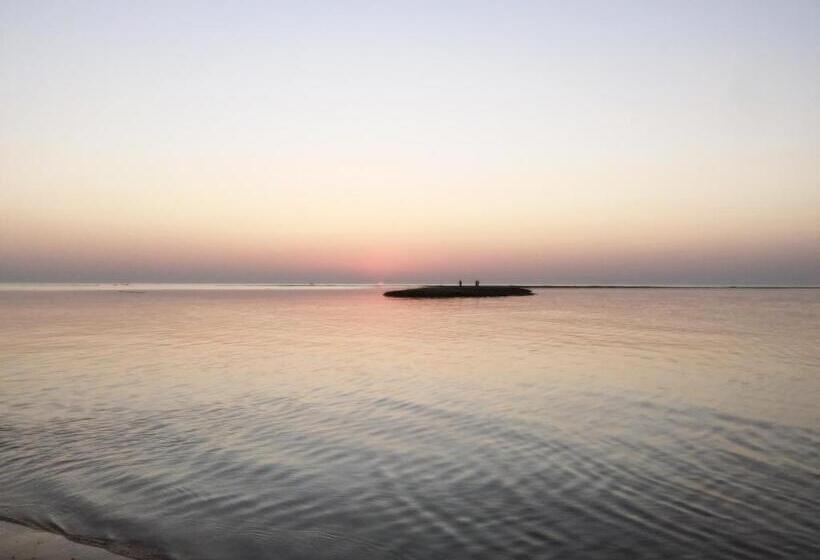 مسافرخانه Slowlife Beach