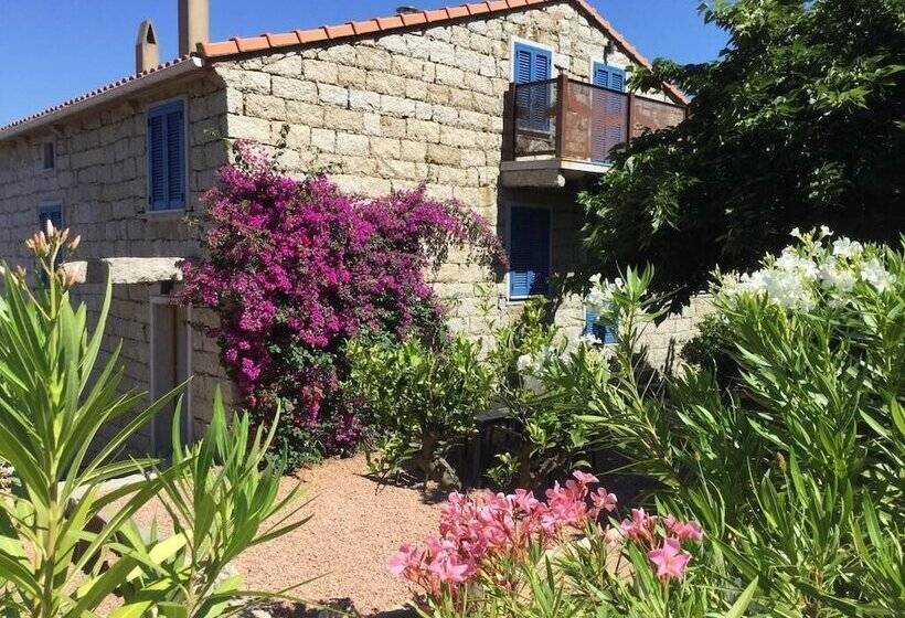 Le Moulin De Figari