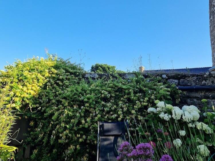 住宿加早餐  Les Chambres Du Keriolet