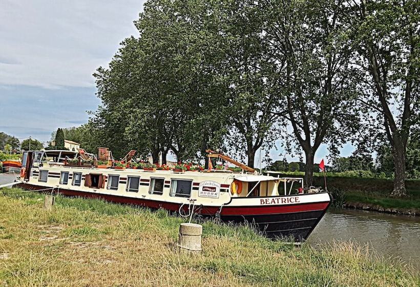 هتل Barge Beatrice Cruises On The Canal Du Midi