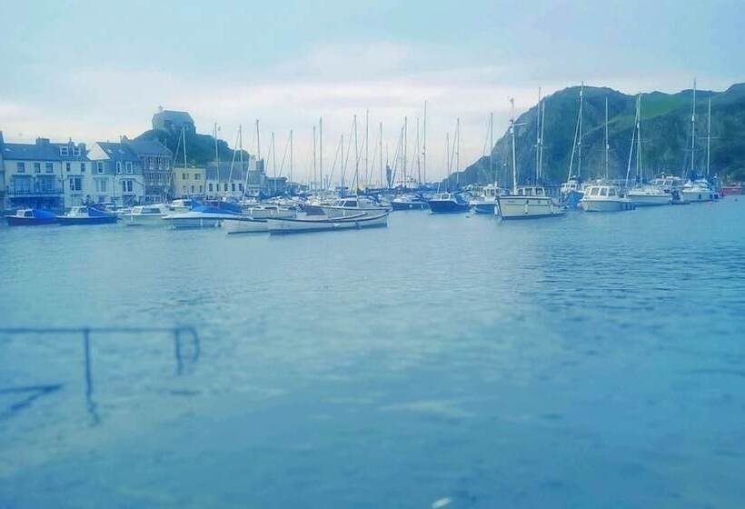 Verity And Ilfracombe Harbour View