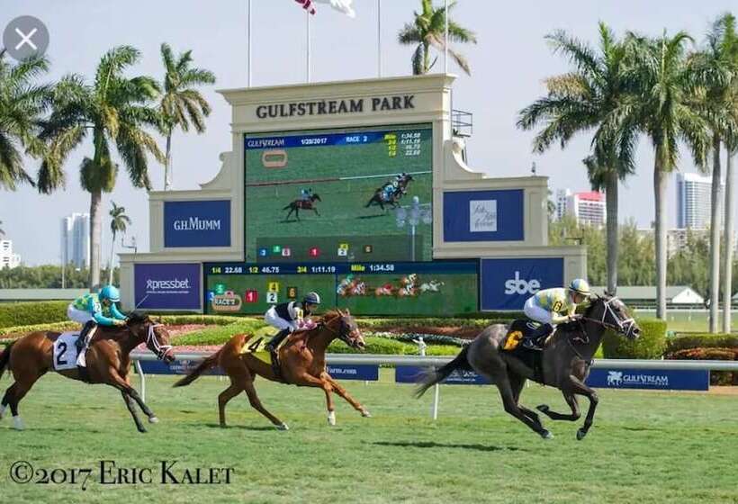 Beautiful Property In Hallandale Beach!!!