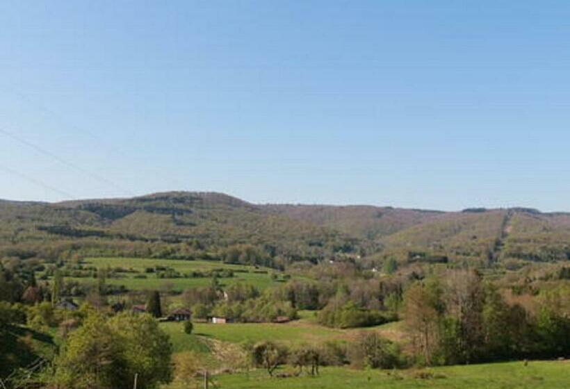 L Oriere Des Bois