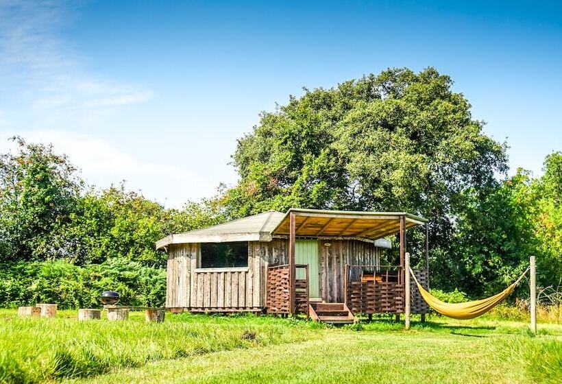 ホテル Grey Willow Yurts
