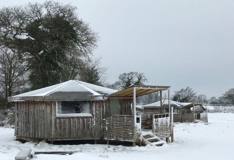 فندق Grey Willow Yurts