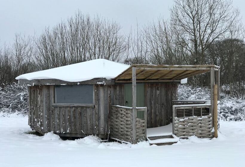 فندق Grey Willow Yurts