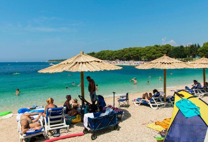 Apartments Jere Proto