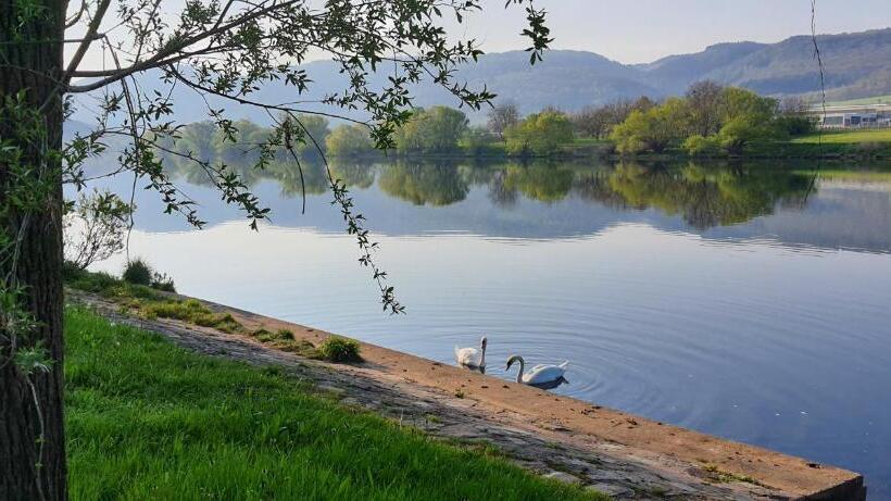 Ferienwohnungen Zum Niederberg