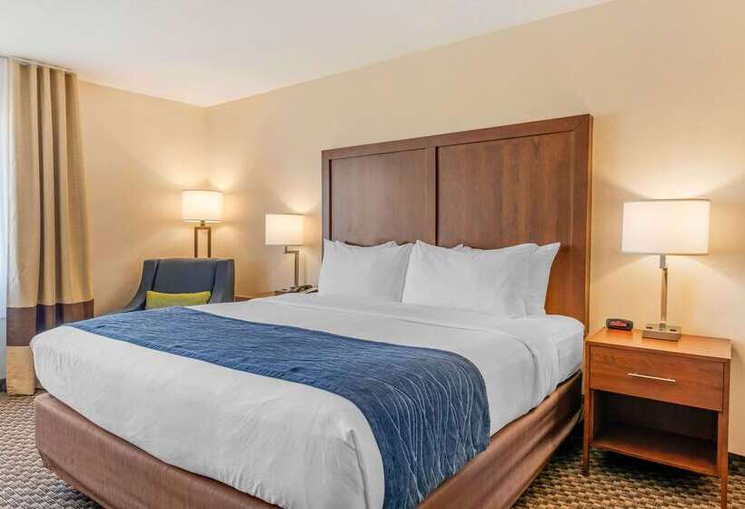 酒店 Comfort Inn & Suites Near Route 66