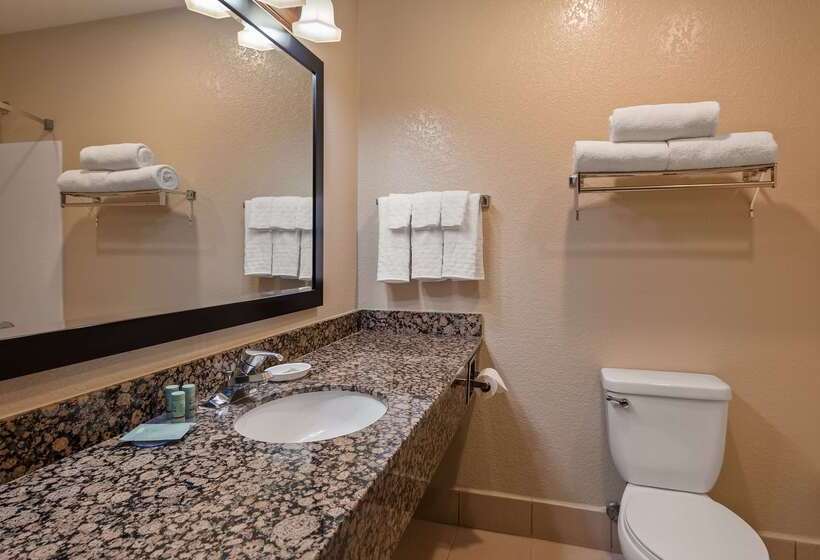 فندق Best Western Apache Junction Inn