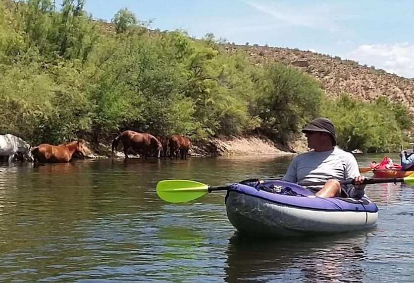 فندق Best Western Apache Junction Inn