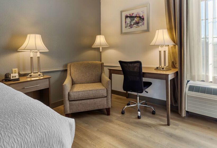 בית מלון כפרי Best Western Plus South Hill Inn