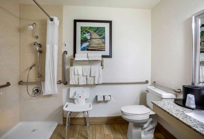 هتل Comfort Inn Castro Valley