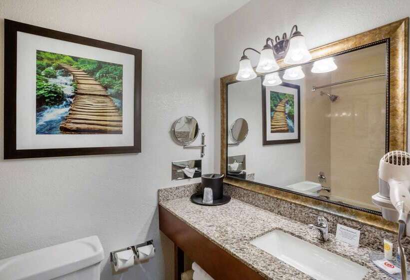 هتل Comfort Inn Castro Valley