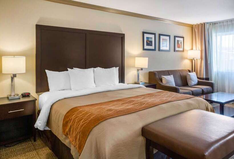 هتل Comfort Inn Castro Valley